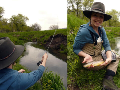 A Trio of Small Waters
