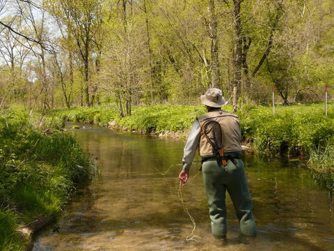 Of Fish and Friends – Part 1