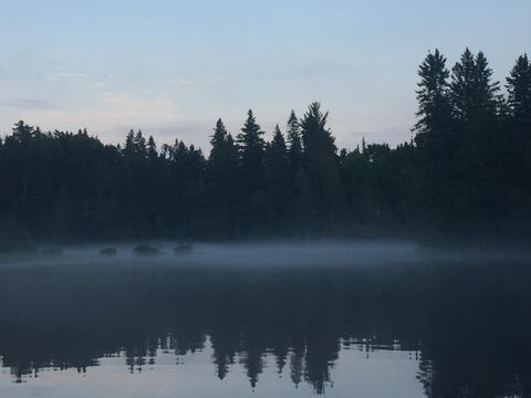 Morning Mist From Flowing Water Rises