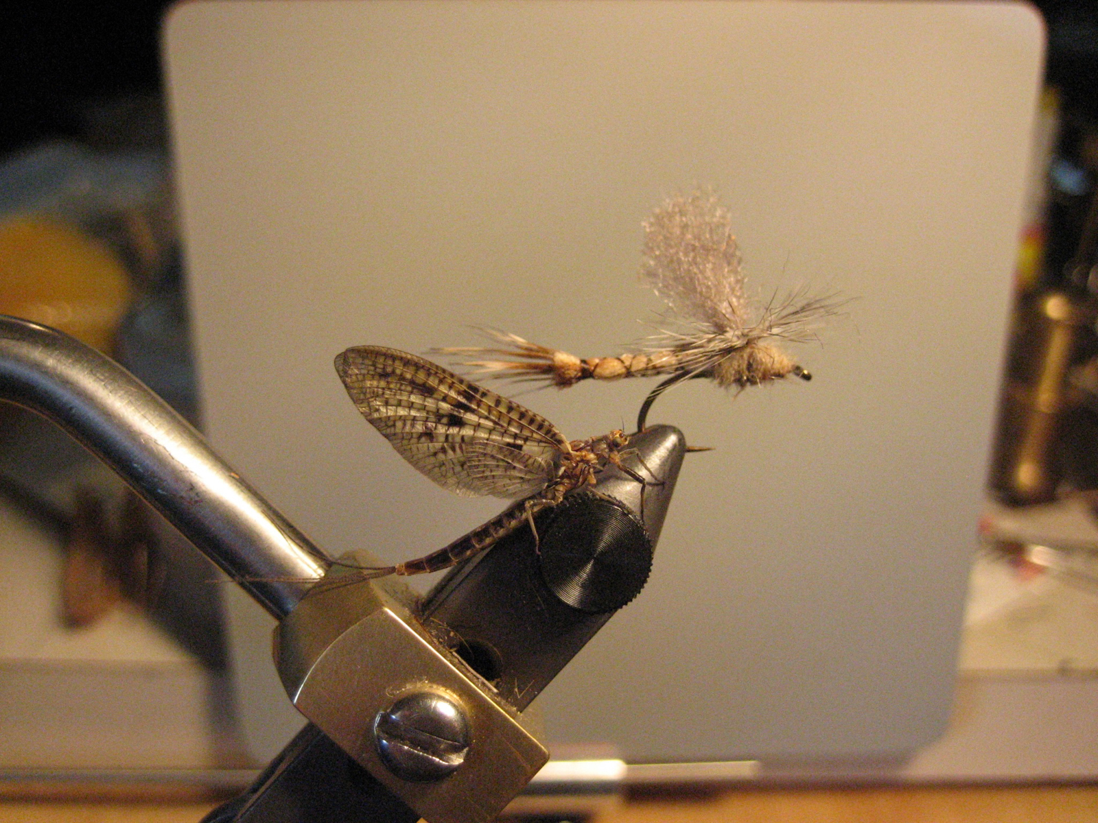 Matching The Hatch A brown drake mayfly dun (ephemera simulans) lands on my fly-tying vise next to my imitation of the same bug. Proportions are...